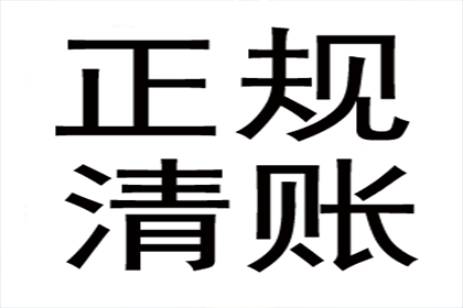 泰安借条担保相关法律咨询及担保人责任解析